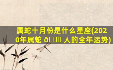 属蛇十月份是什么星座(2020年属蛇 🕊 人的全年运势)
